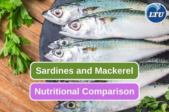 4 Nutritional Content of Sardines and Mackerel